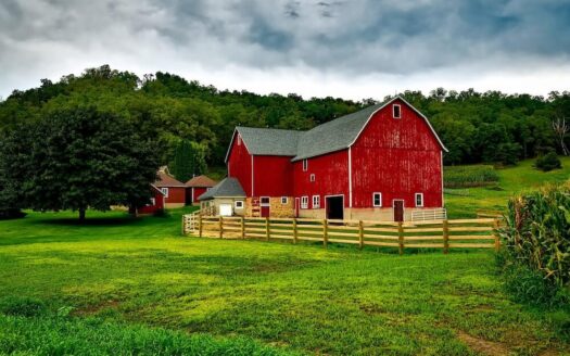 Montana View Ranch